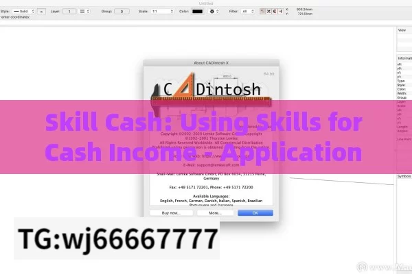 Skill Cash: Using Skills for Cash Income - Application Scenarios